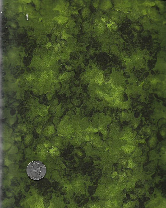 Bubbles Moss