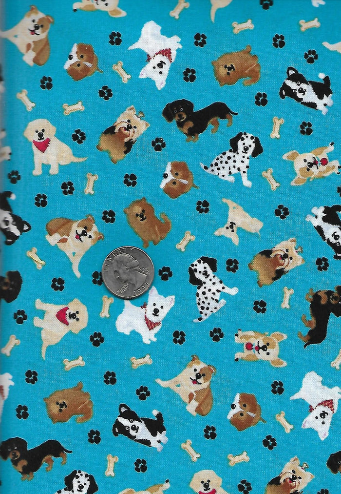 Tossed Pups on Teal