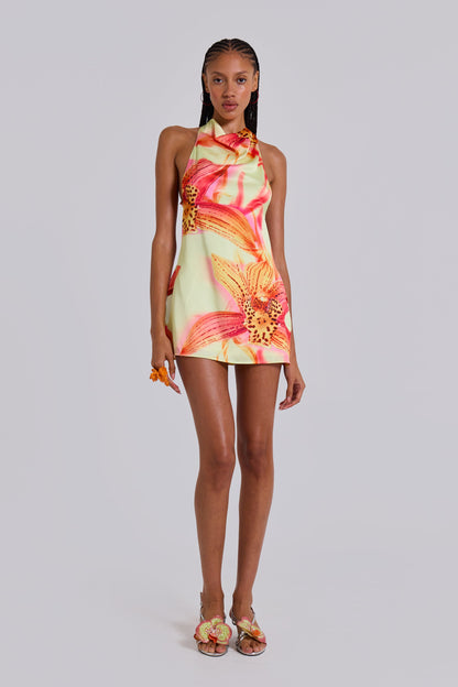 Lucia Backless Mini Dress With Flower Detail