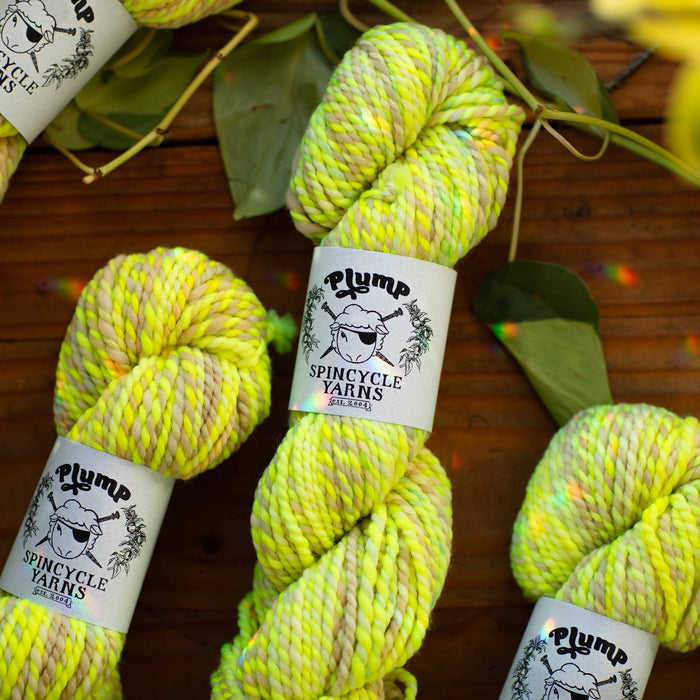 Bad Egg: Spincycle Yarns PLUMP