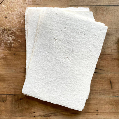 Bat Flower Press - Ivory handmade paper set with envelopes