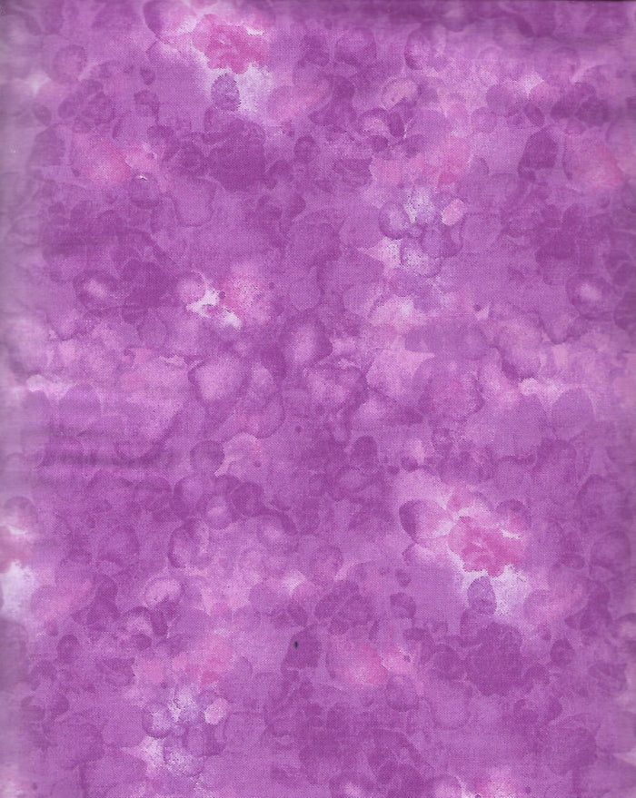 Bubbles Orchid