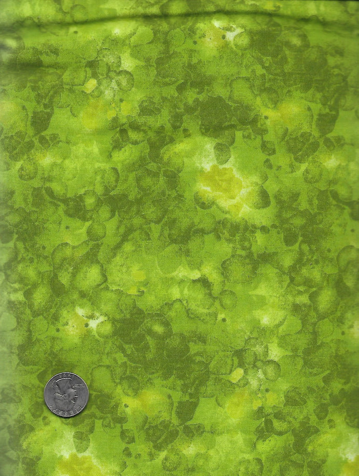 Bubbles Pickle