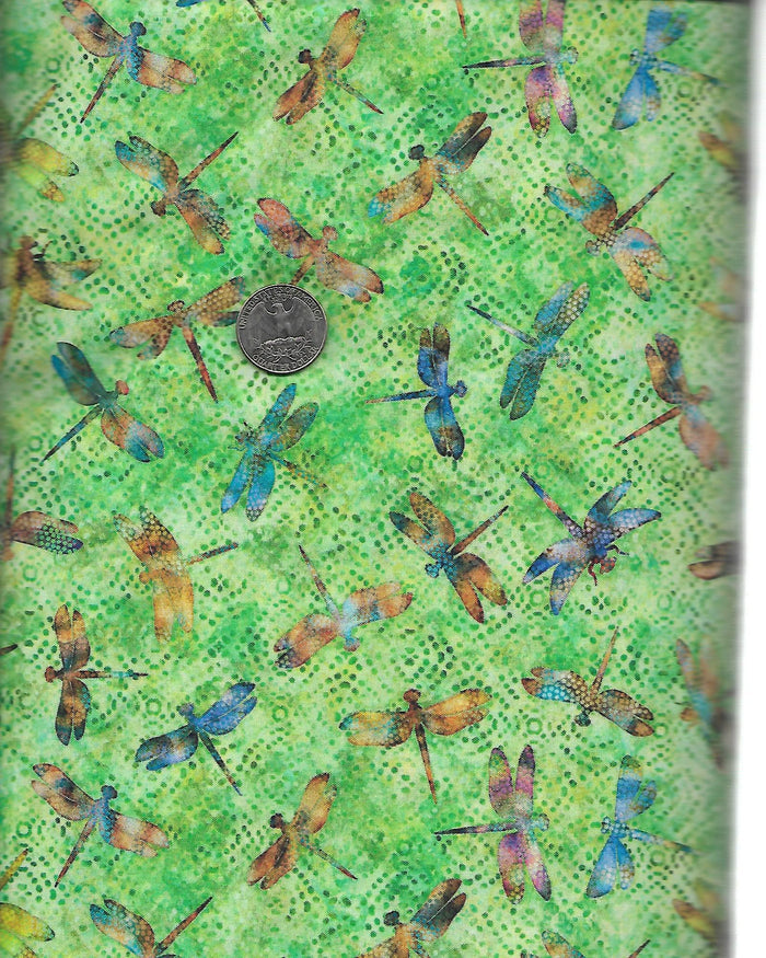 Dragonfly Toss H