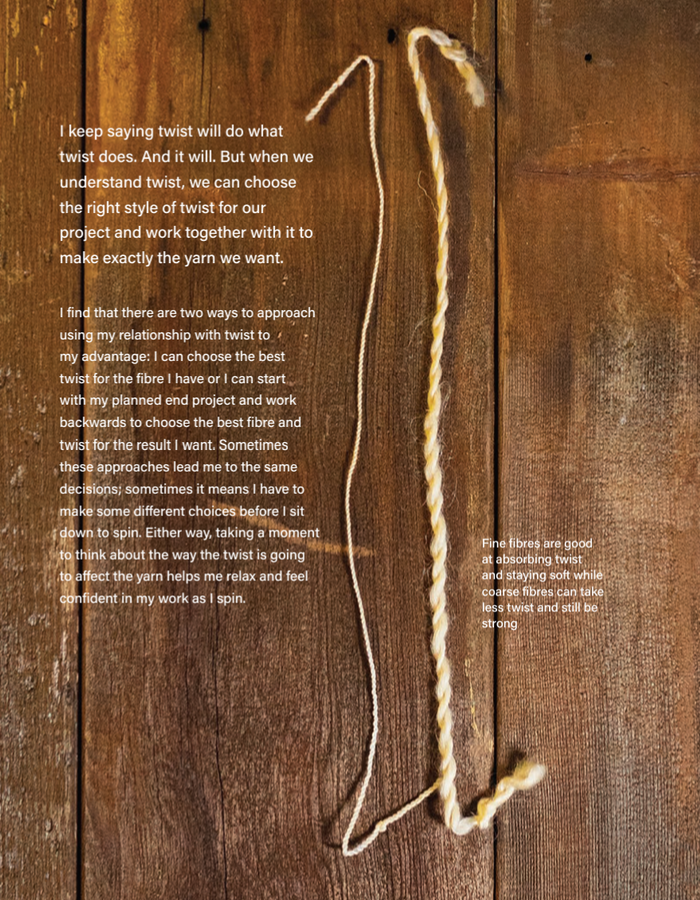 Twist by Michelle Boyd