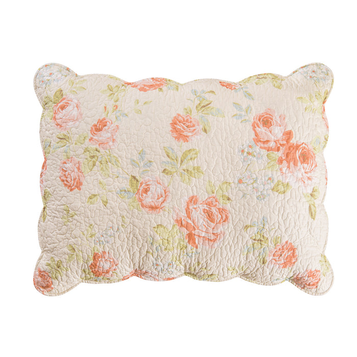 A Whitney Standard Sham.
